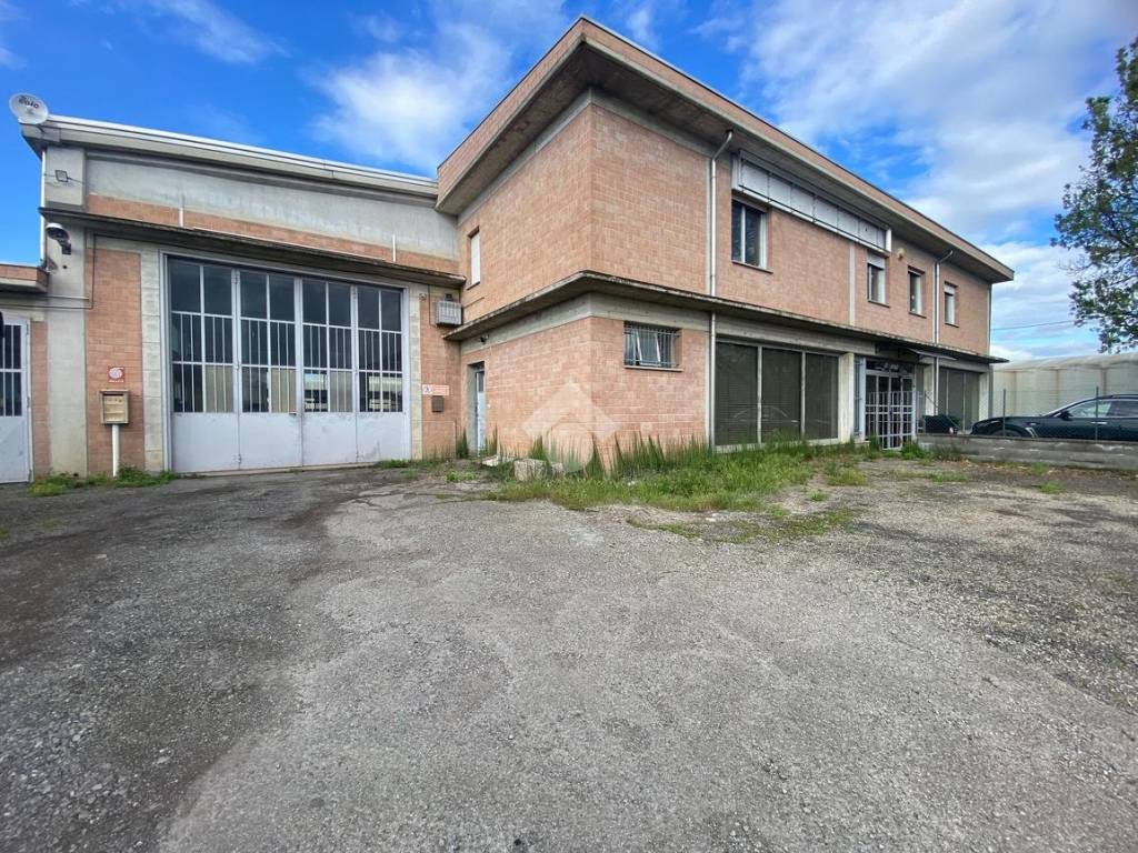 immagine annuncio 2 di 5