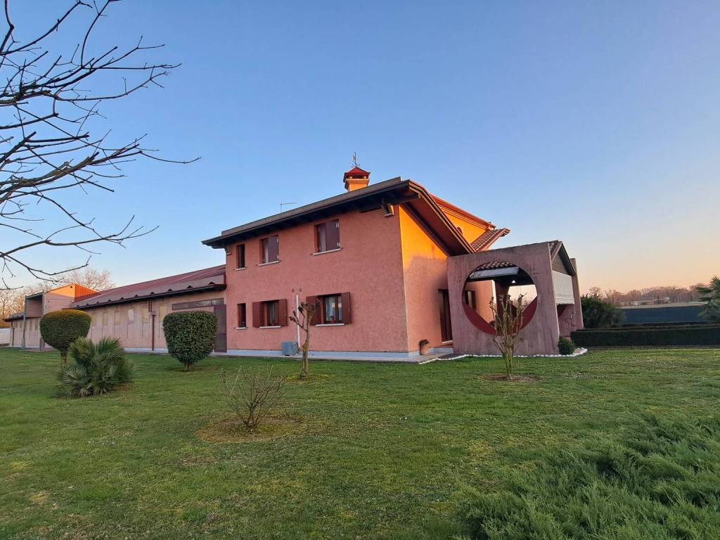 immagine annuncio 2 di 5