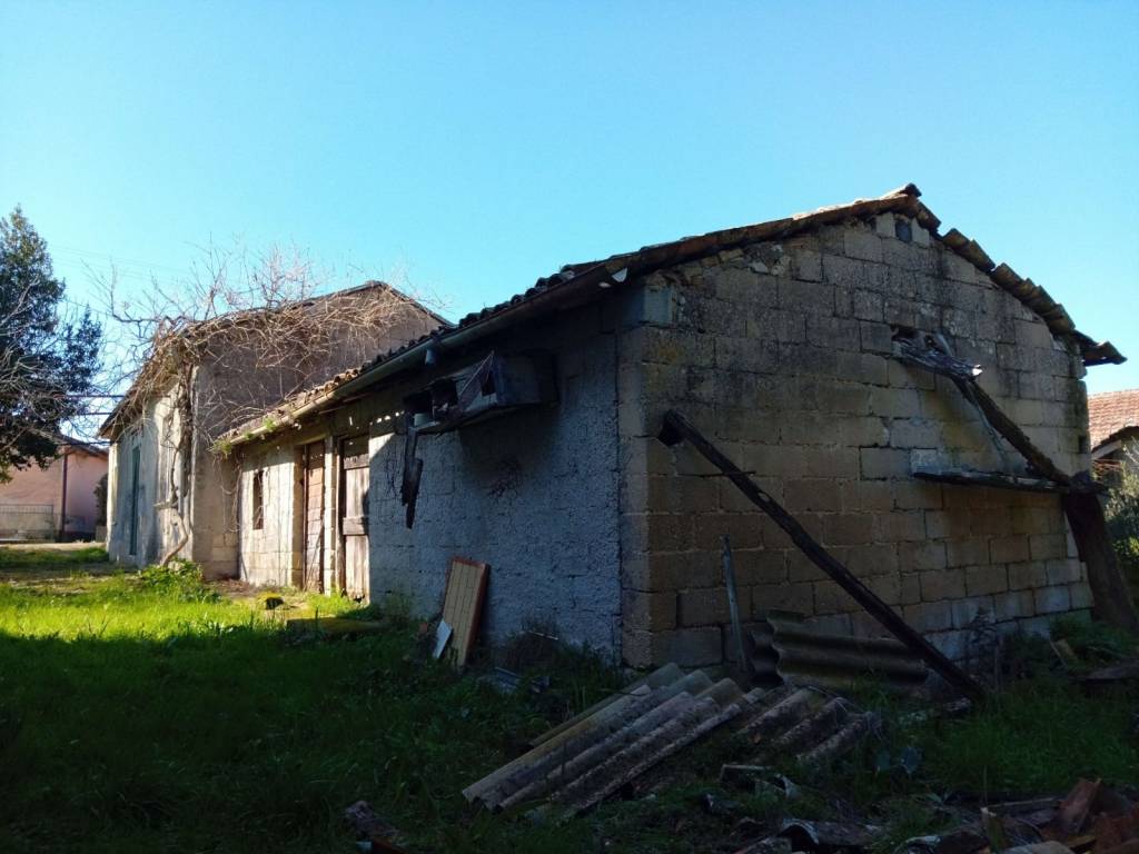 immagine annuncio 2 di 3