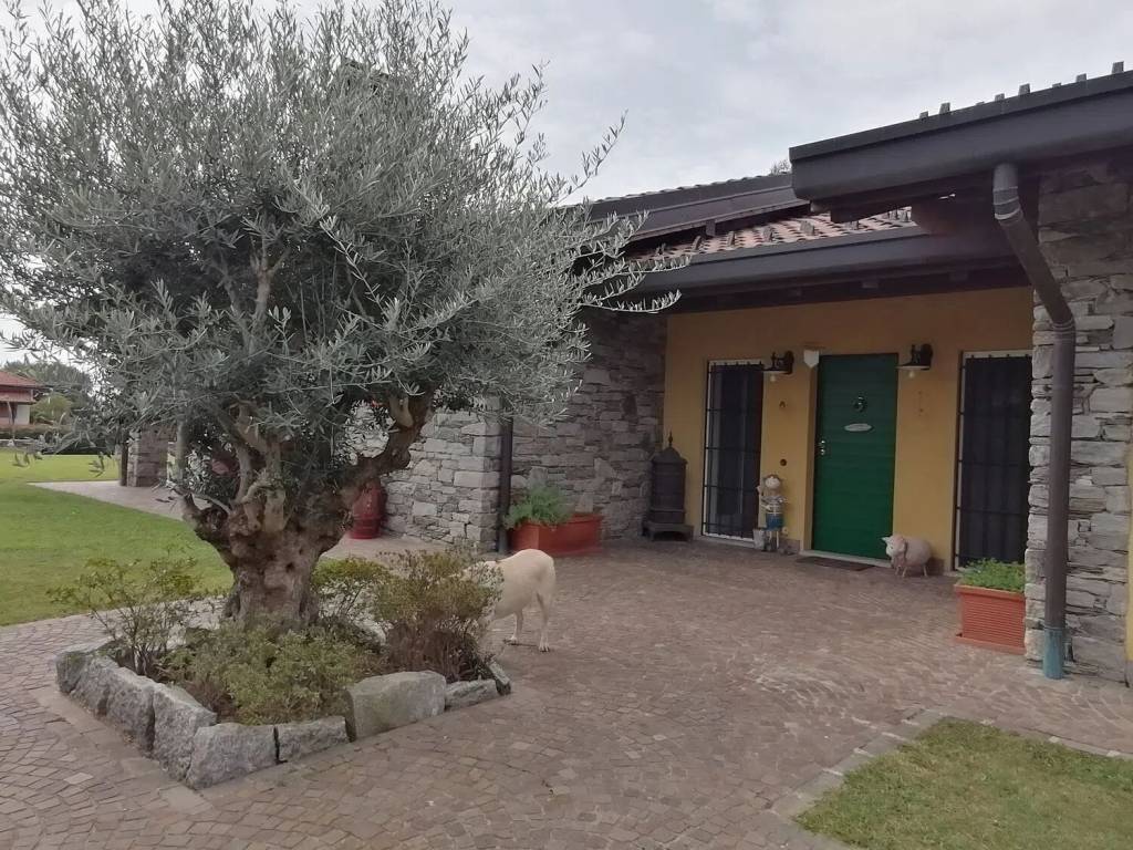 immagine annuncio 2 di 5
