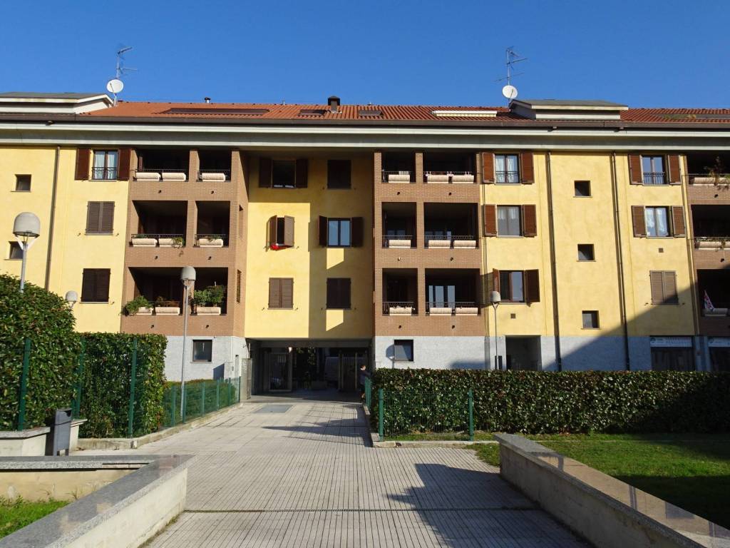 immagine annuncio 2 di 5