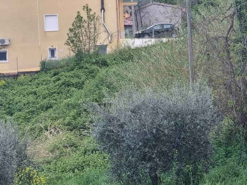 immagine annuncio 2 di 4