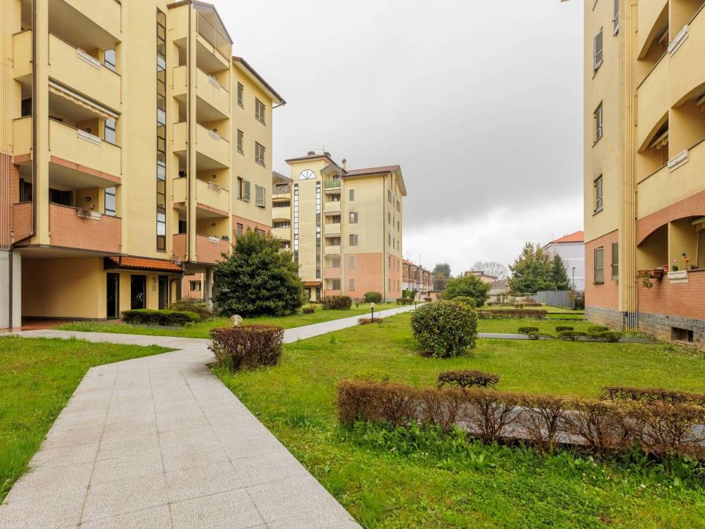 immagine annuncio 2 di 5