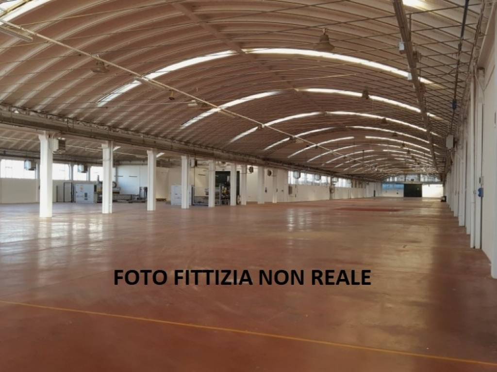 immagine annuncio 2 di 4