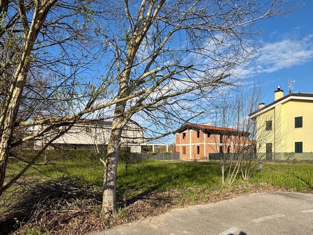 immagine annuncio 3 di 5