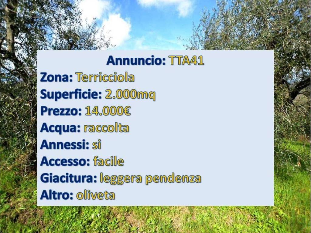 immagine annuncio 0 di 1