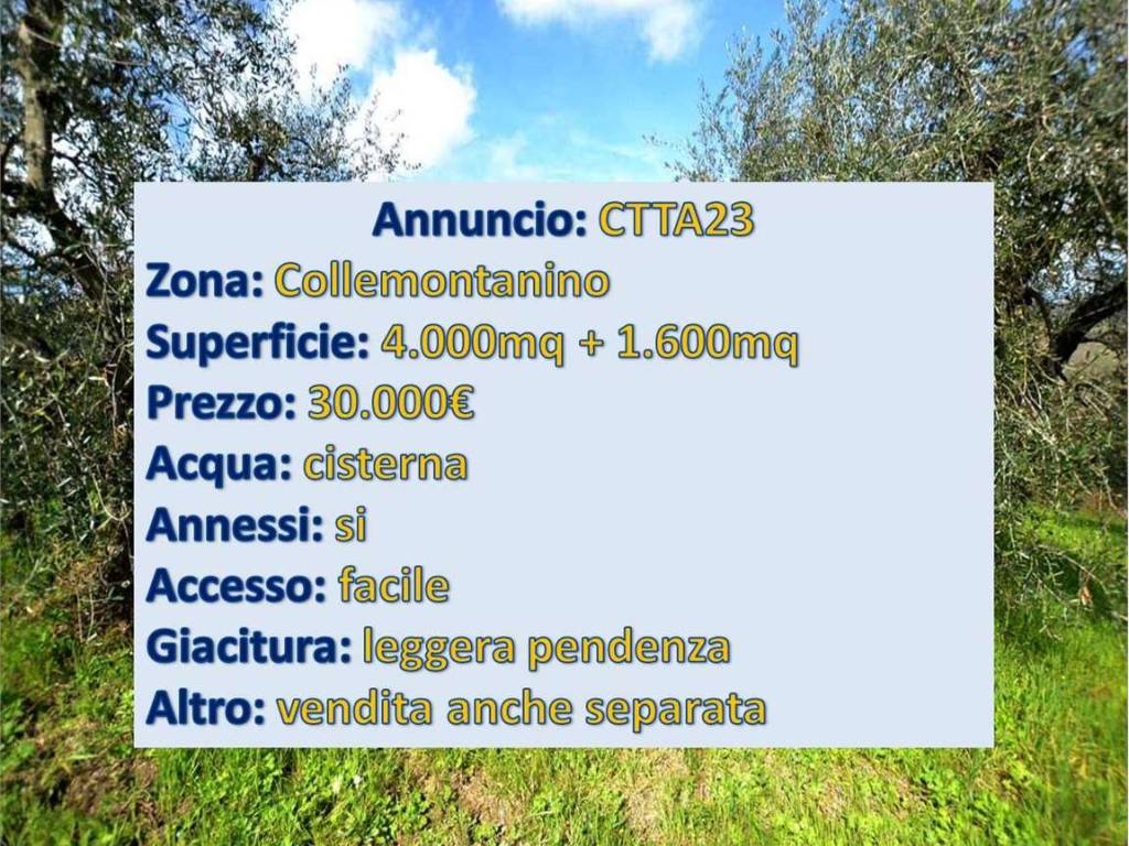 immagine annuncio 1 di 5