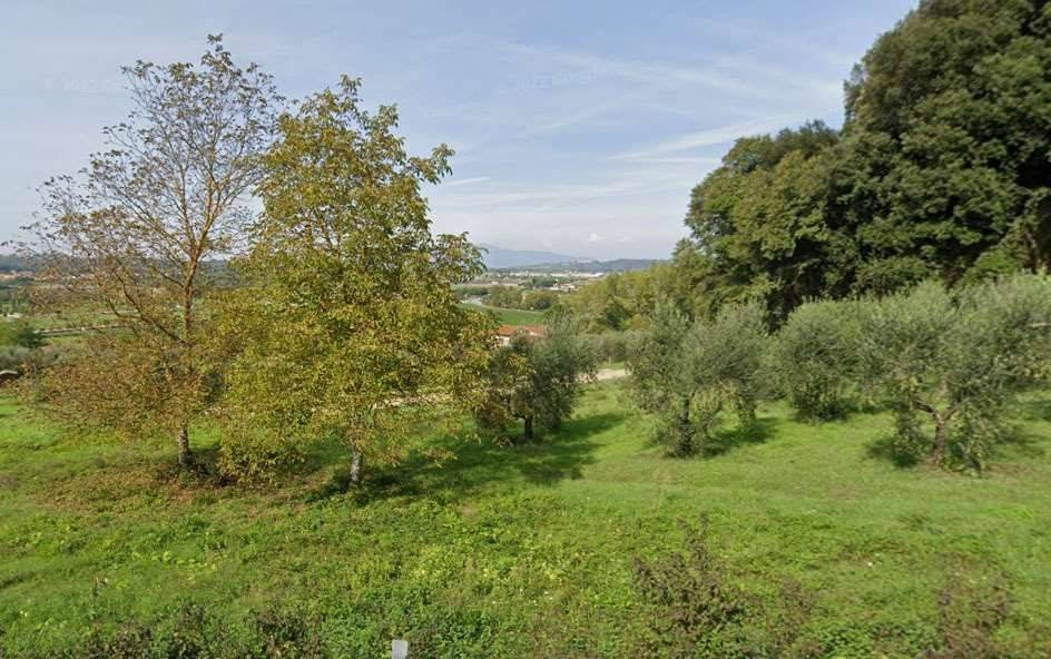 immagine annuncio 3 di 4