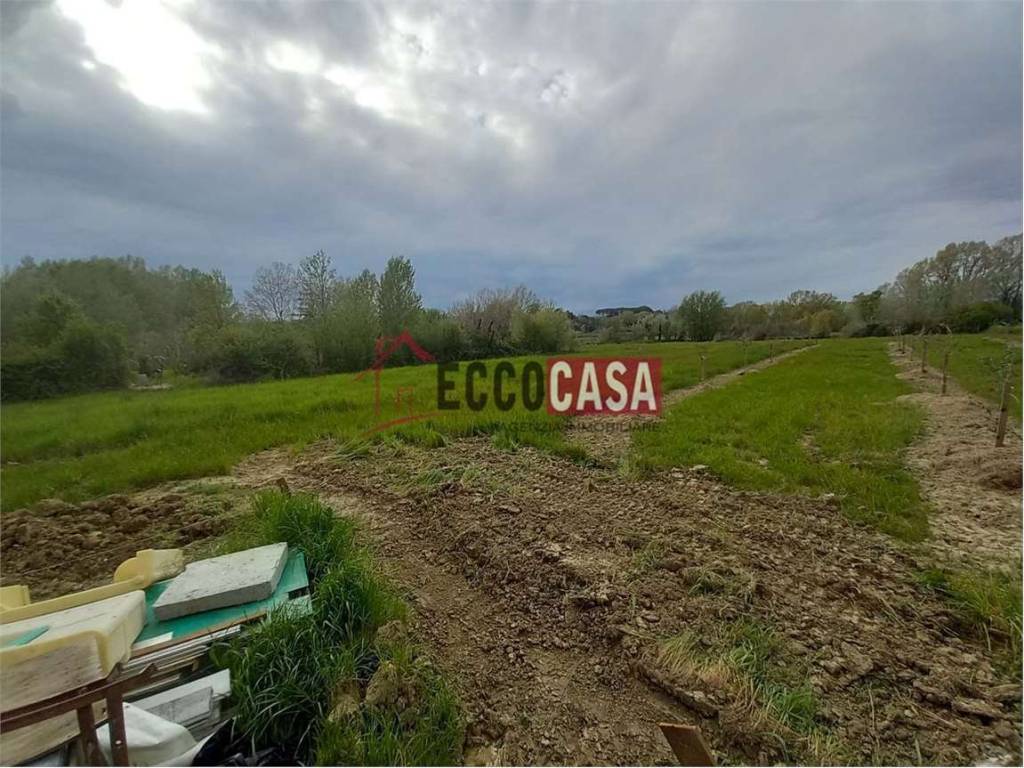 immagine annuncio 1 di 2