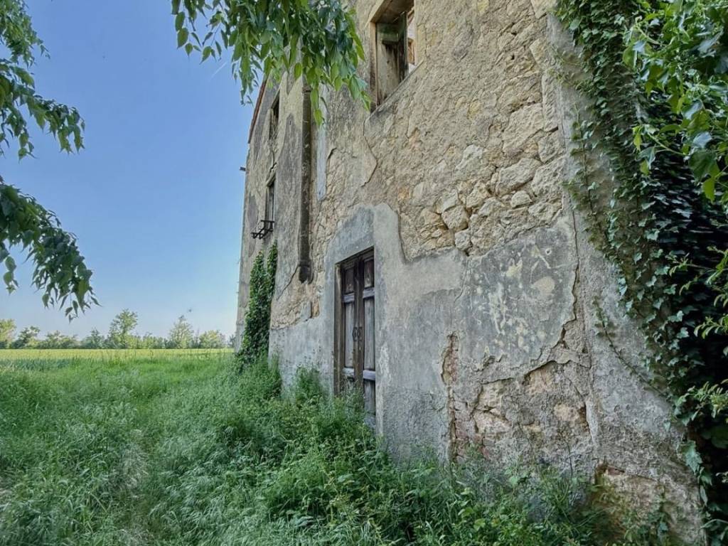 immagine annuncio 2 di 4