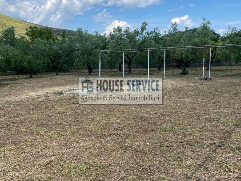 immagine annuncio 2 di 4