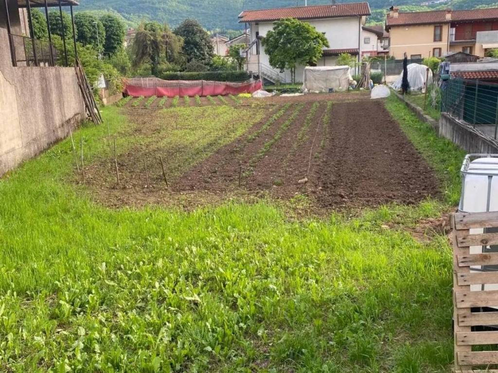 immagine annuncio 1 di 2