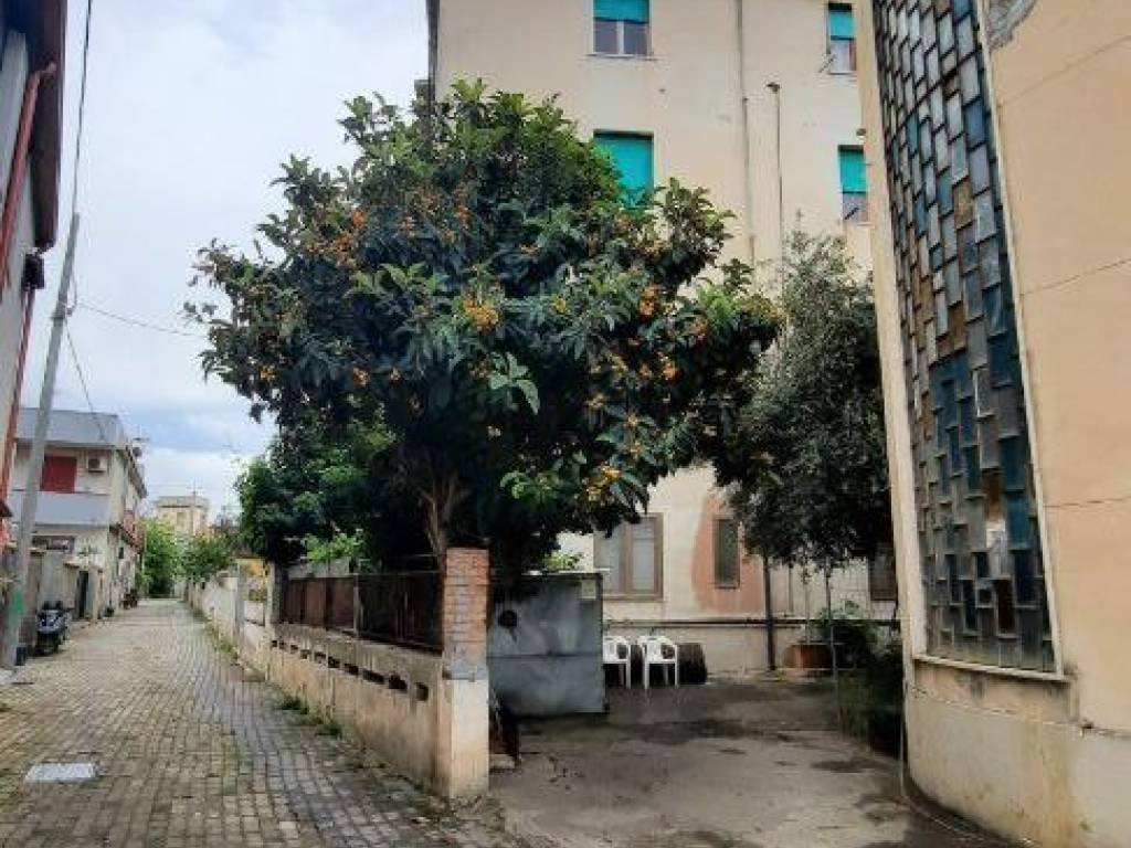 immagine annuncio 2 di 4