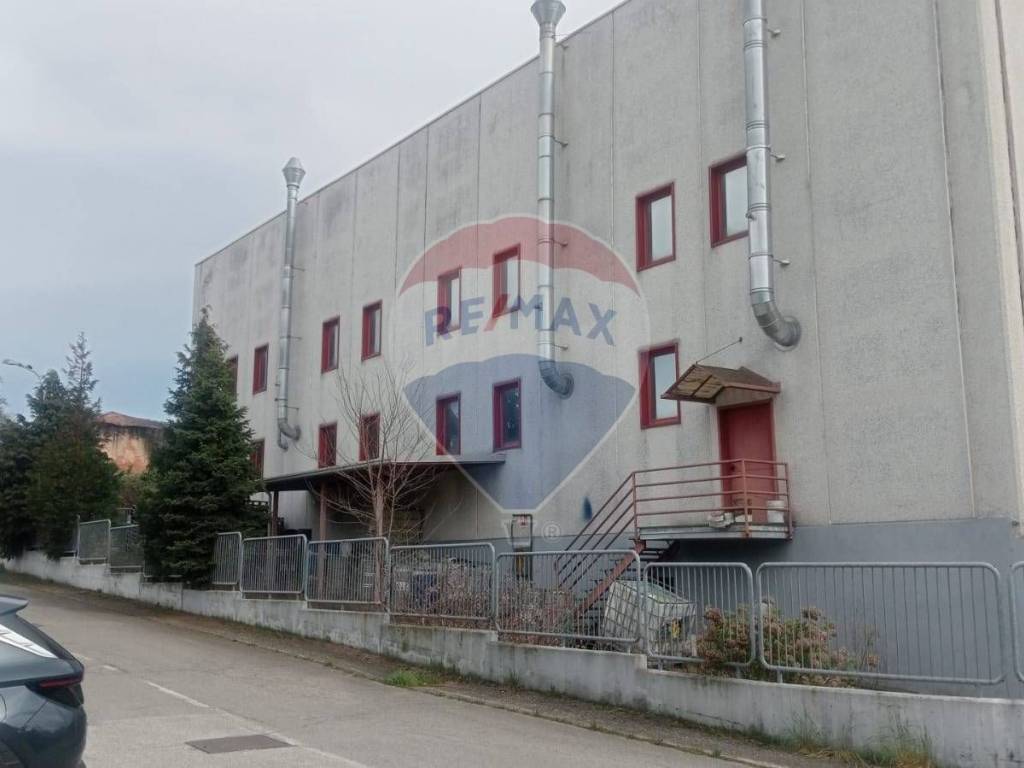 immagine annuncio 4 di 5