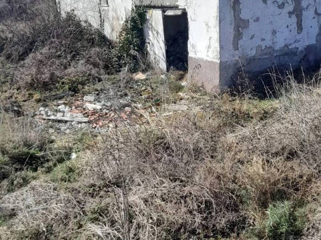 immagine annuncio 2 di 3