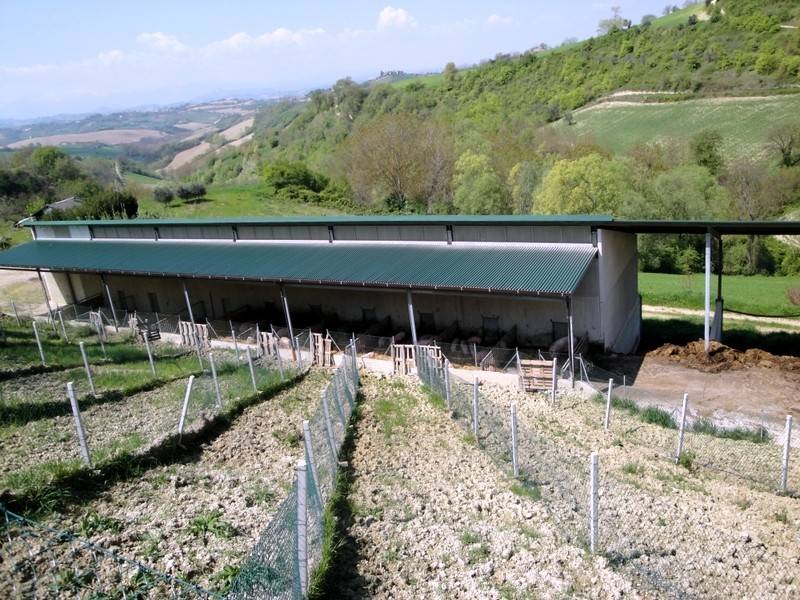 immagine annuncio 4 di 5
