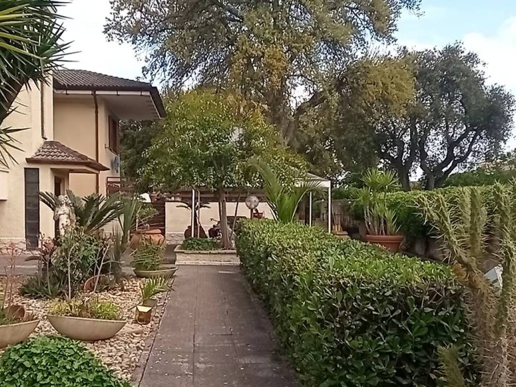 immagine annuncio 1 di 3