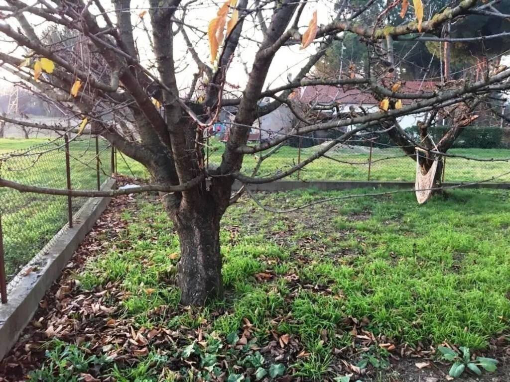 immagine annuncio 2 di 3