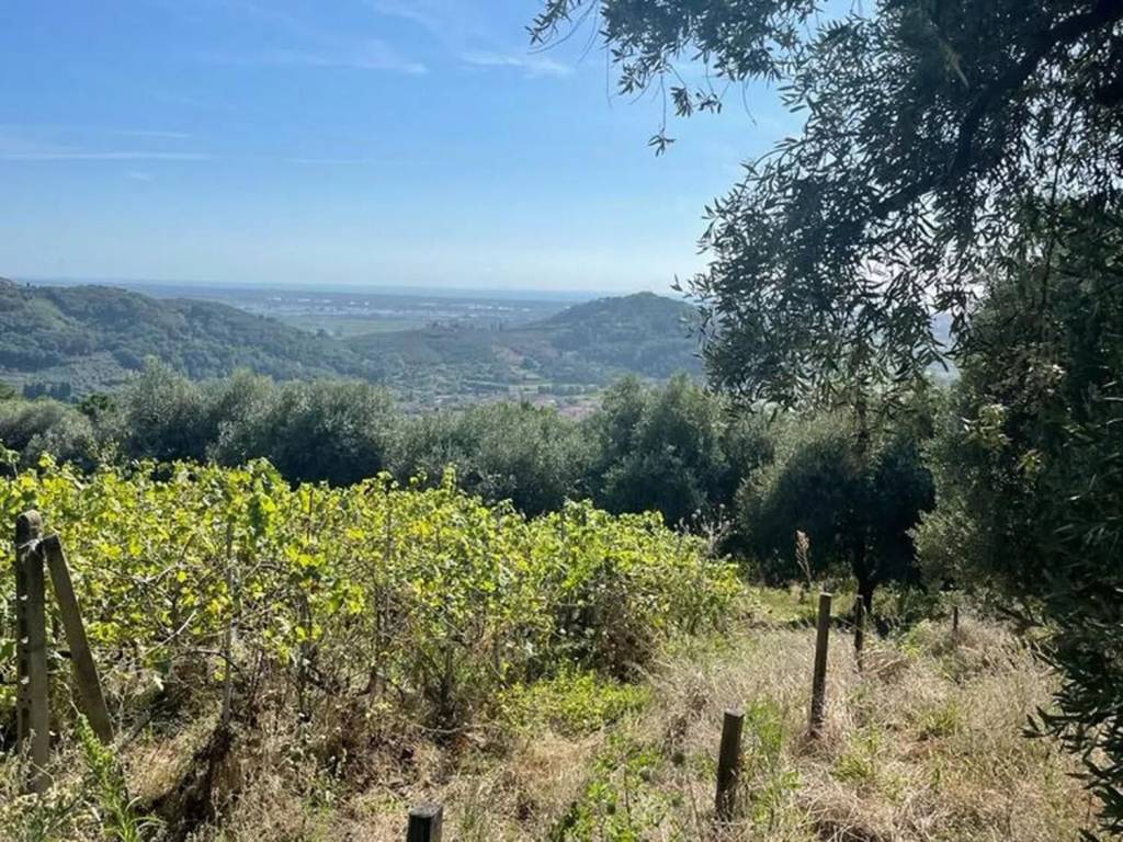 terreno agricolo in vendita a Massarosa in zona Stiava