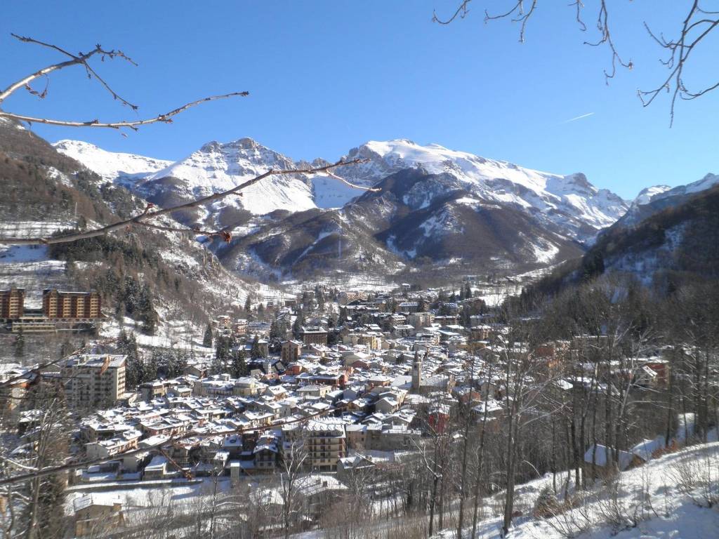 immagine annuncio 1 di 3