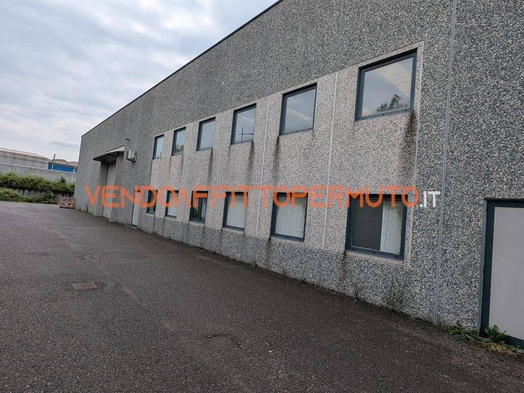 immagine annuncio 2 di 5