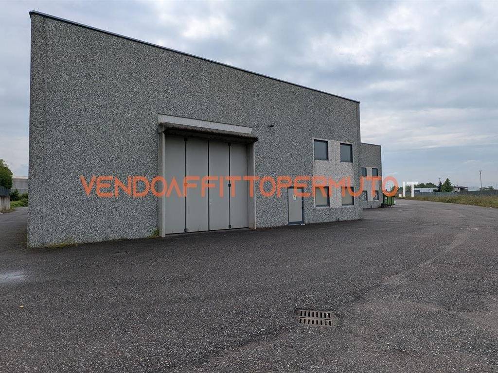 immagine annuncio 4 di 5