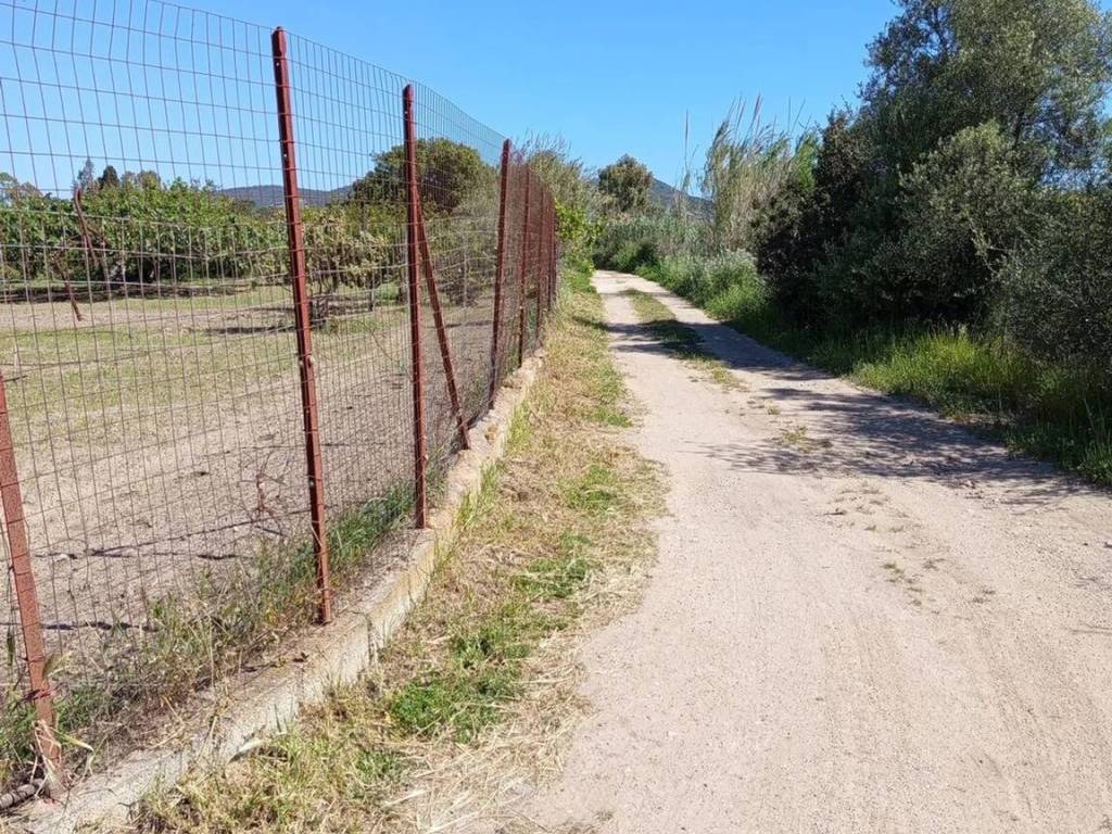 immagine annuncio 2 di 4