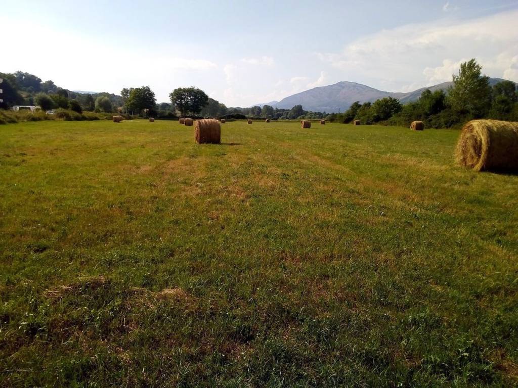 immagine annuncio 2 di 3