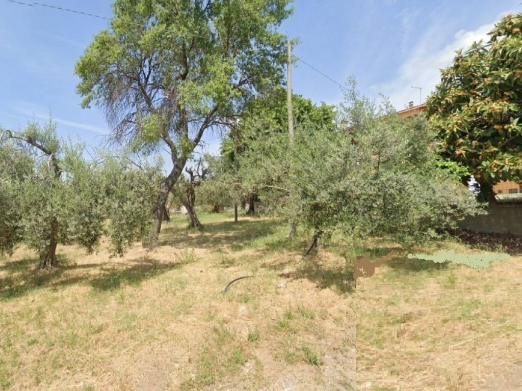 immagine annuncio 1 di 3