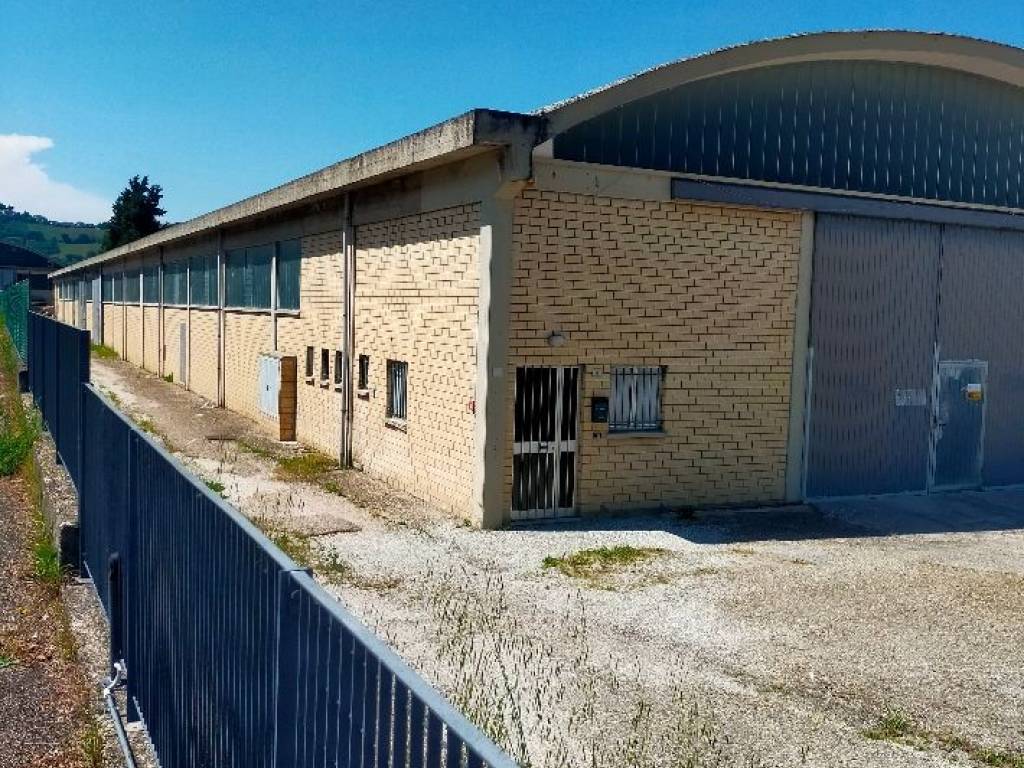 immagine annuncio 1 di 3
