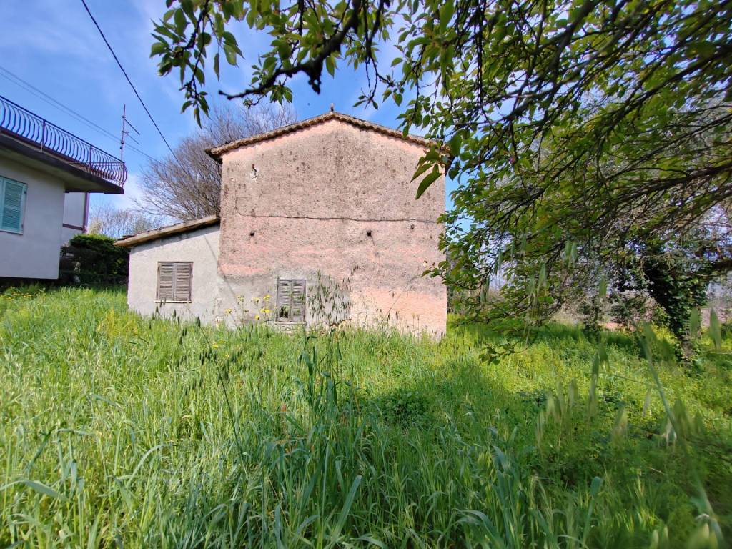 immagine annuncio 1 di 3