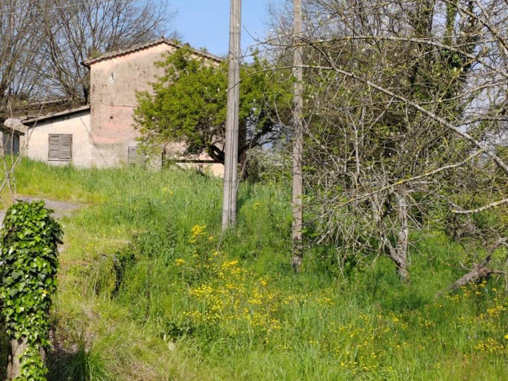 immagine annuncio 2 di 3