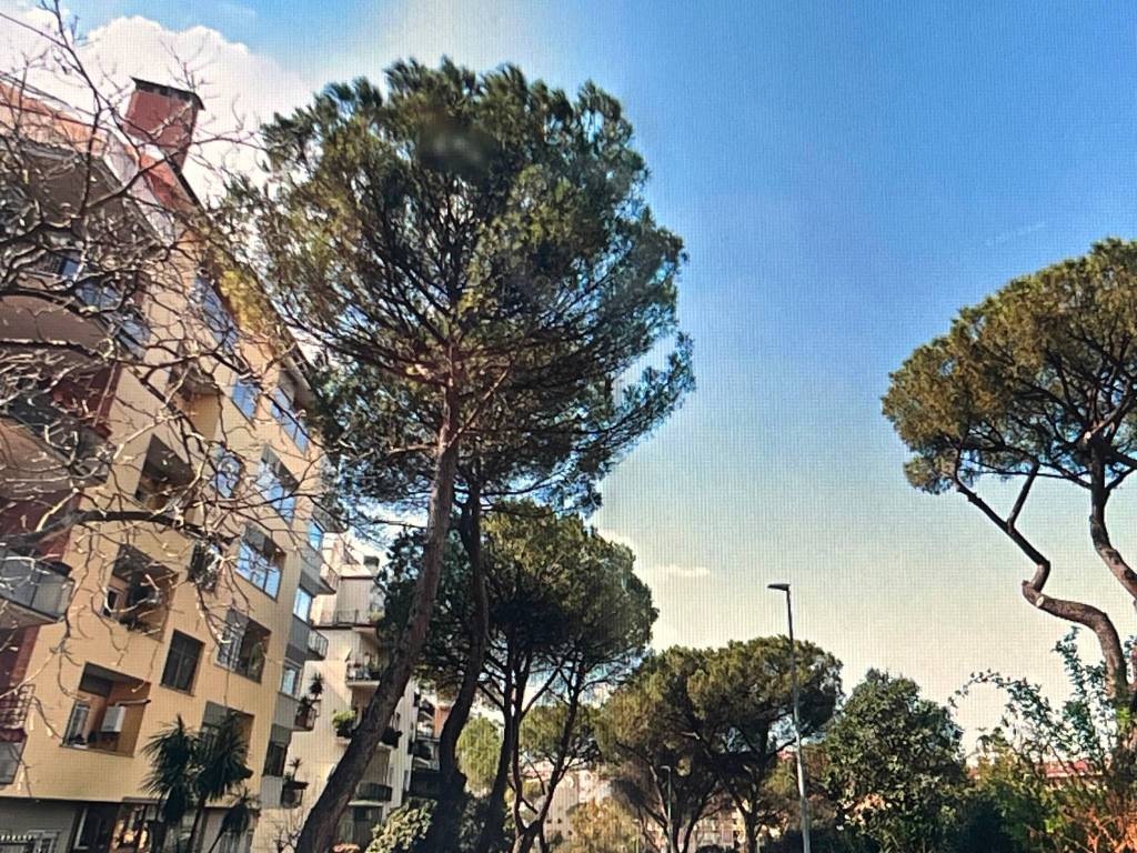 appartamento in affitto a Roma in zona Tor di Quinto