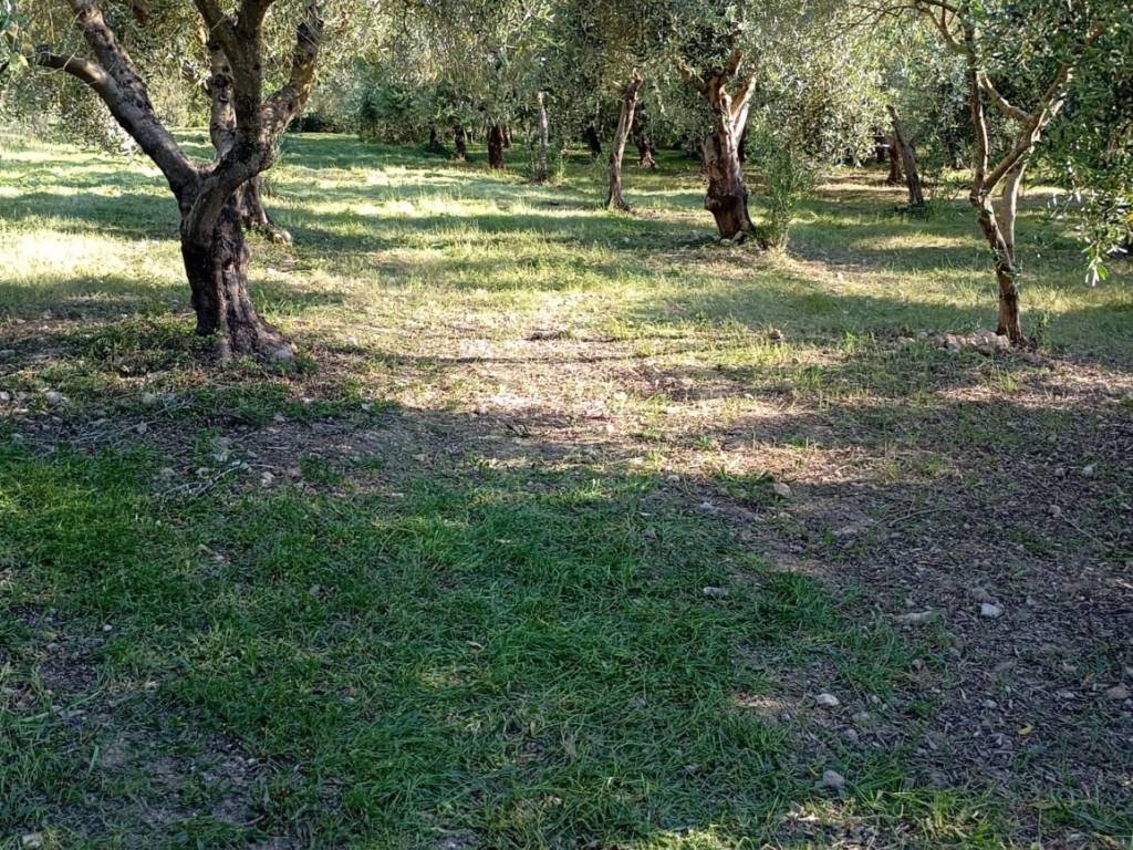 immagine annuncio 1 di 3