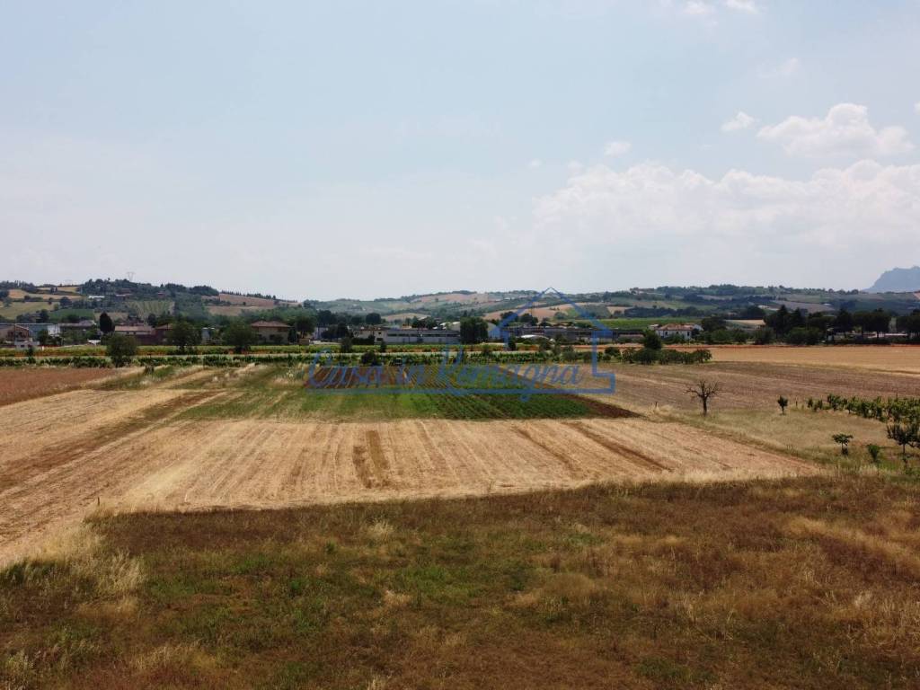 immagine annuncio 1 di 2