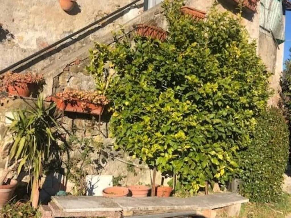 immagine annuncio 1 di 2