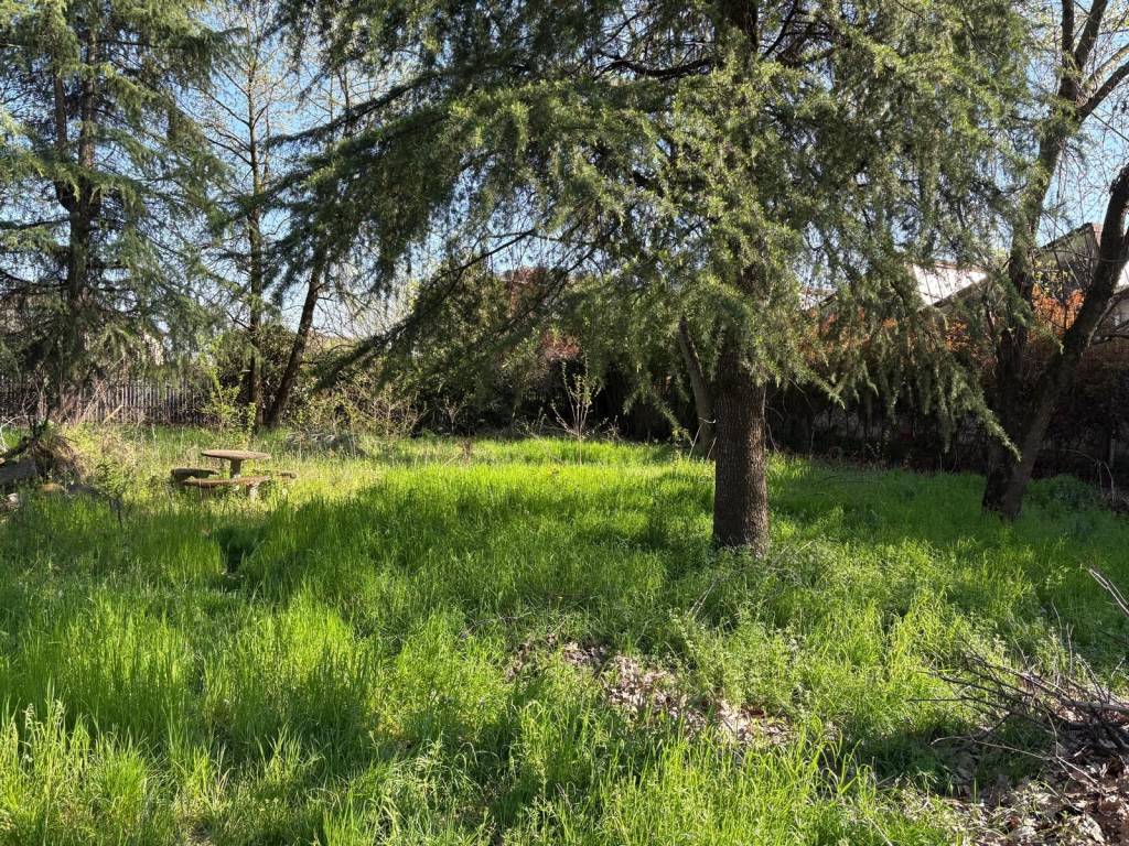 immagine annuncio 3 di 4