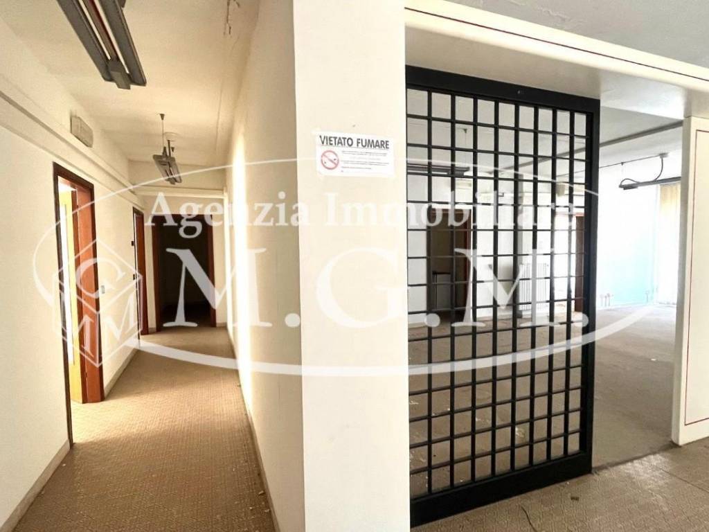 immagine annuncio 0 di 14