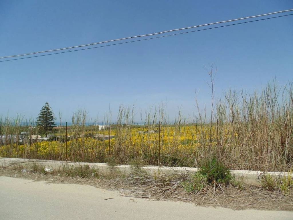 immagine annuncio 3 di 4