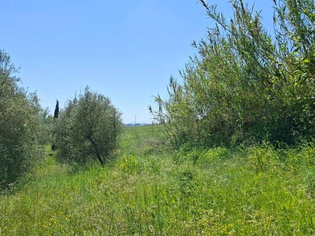immagine annuncio 3 di 4