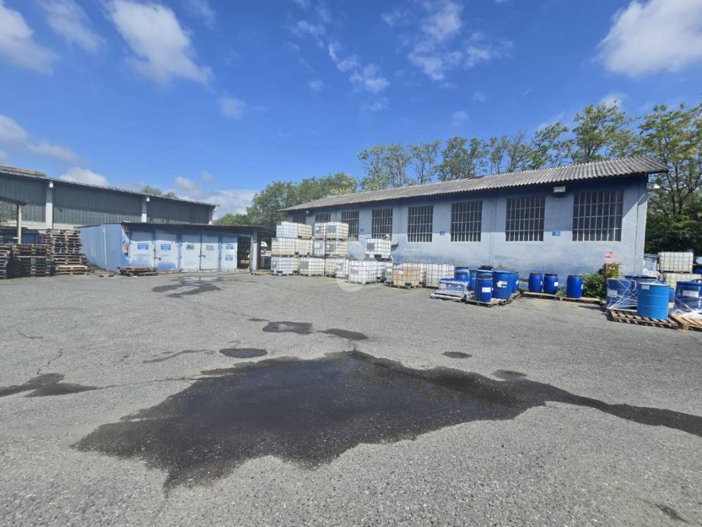 immagine annuncio 2 di 5