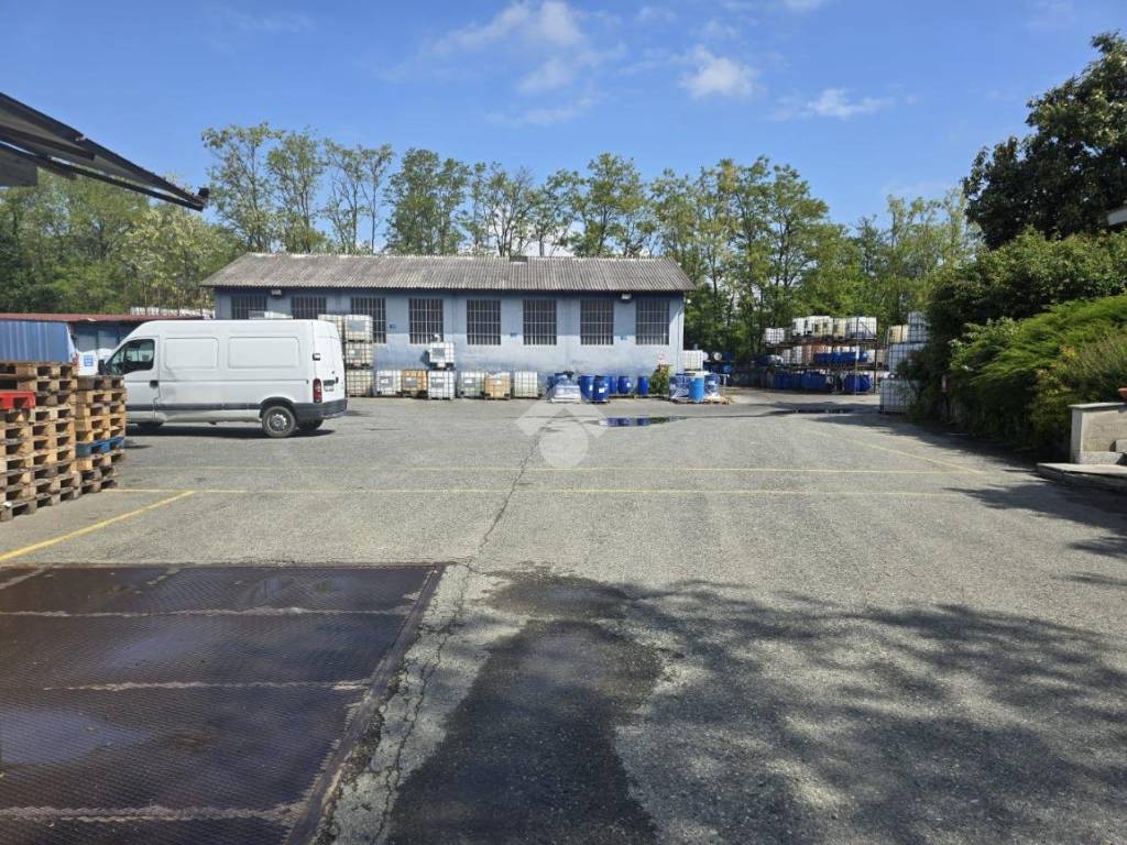 immagine annuncio 3 di 5