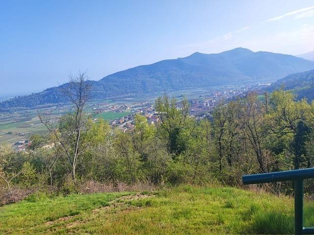 immagine annuncio 4 di 5