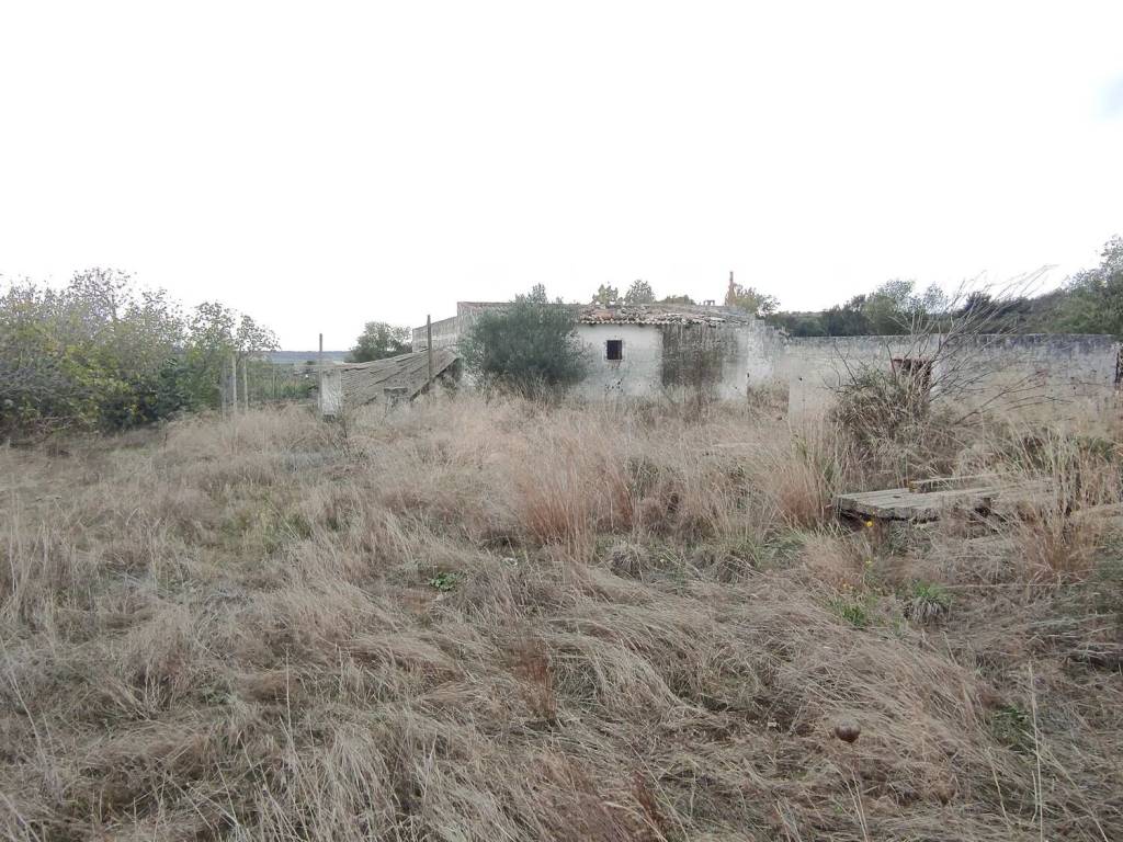 immagine annuncio 1 di 4