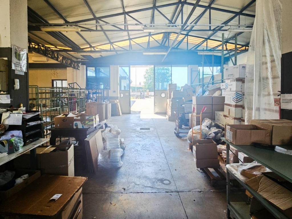 immagine annuncio 4 di 5