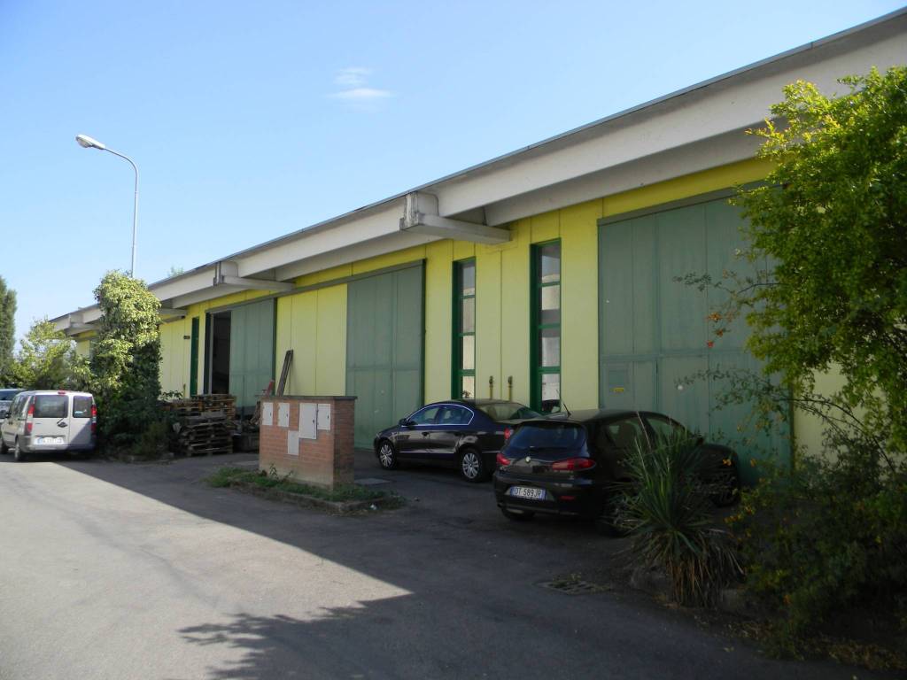 immagine annuncio 2 di 5