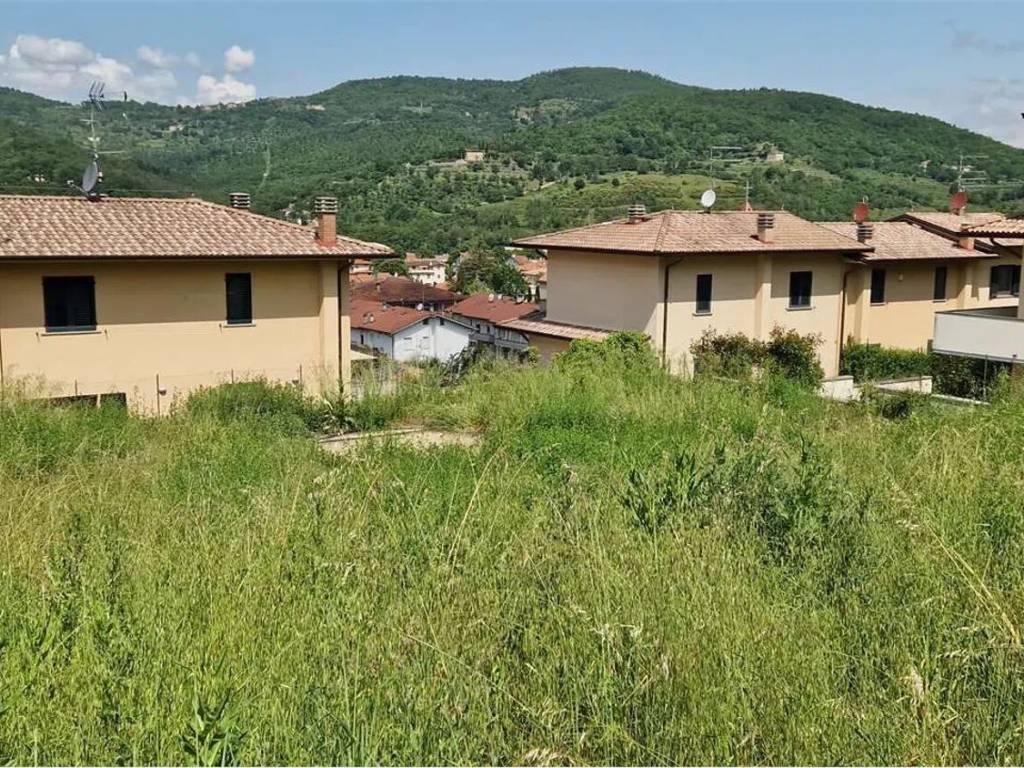 immagine annuncio 1 di 4