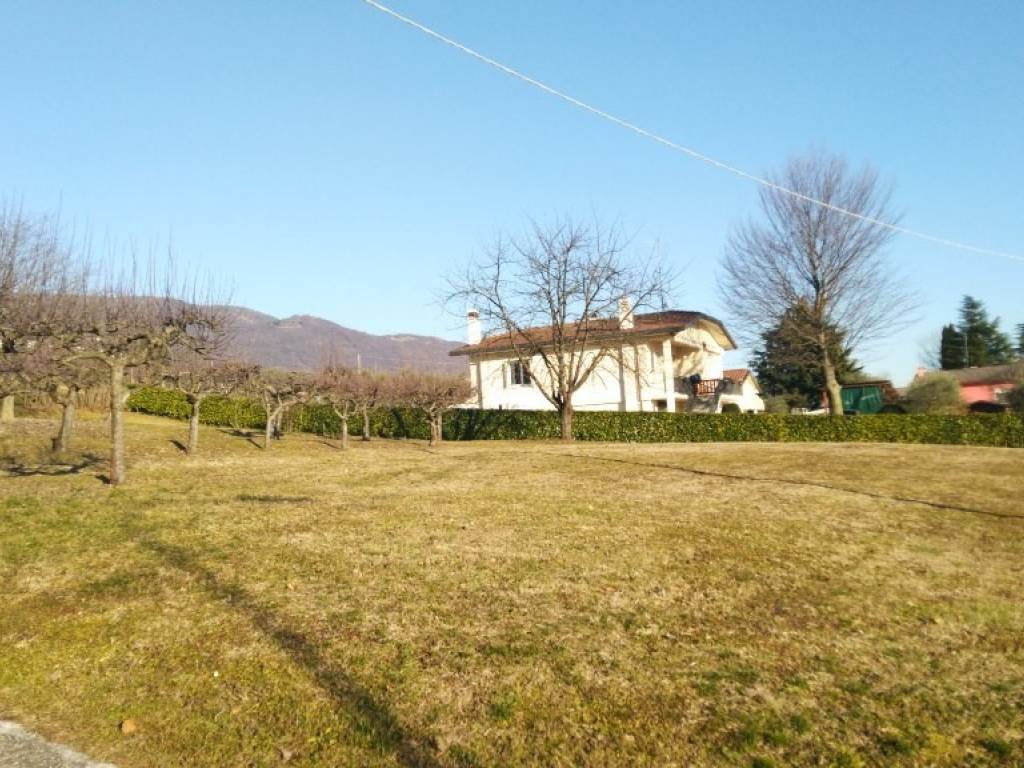 immagine annuncio 2 di 3