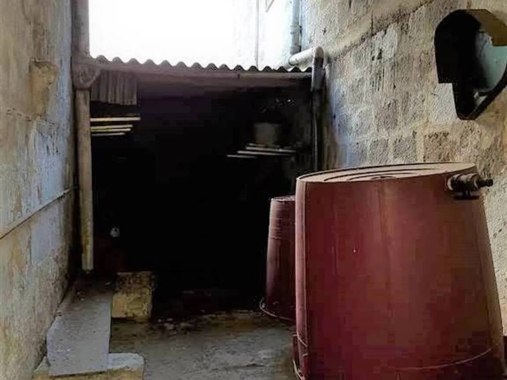immagine annuncio 2 di 3