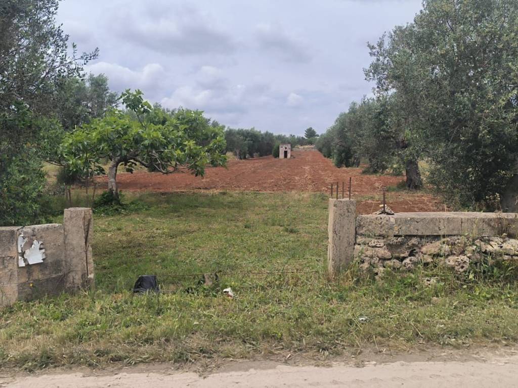 immagine annuncio 1 di 4